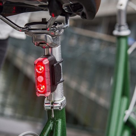 Zestaw lampki BLACKBURN DAYBLAZER przód 550 lumenów, tył 65 lumenów (NEW 2025)